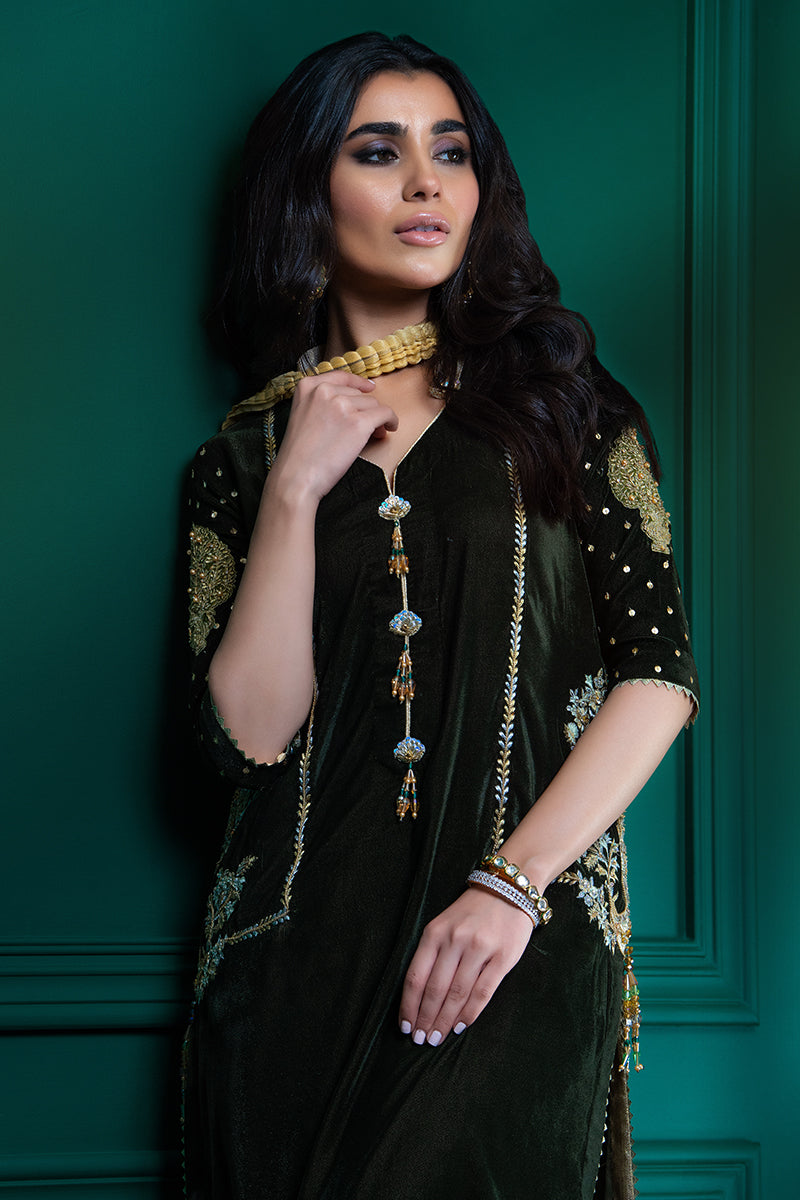 Wardha Saleem | Velvets Winter Fall 24 | Guldaan - Official Wardha Saleem - Agha Fabrics UK