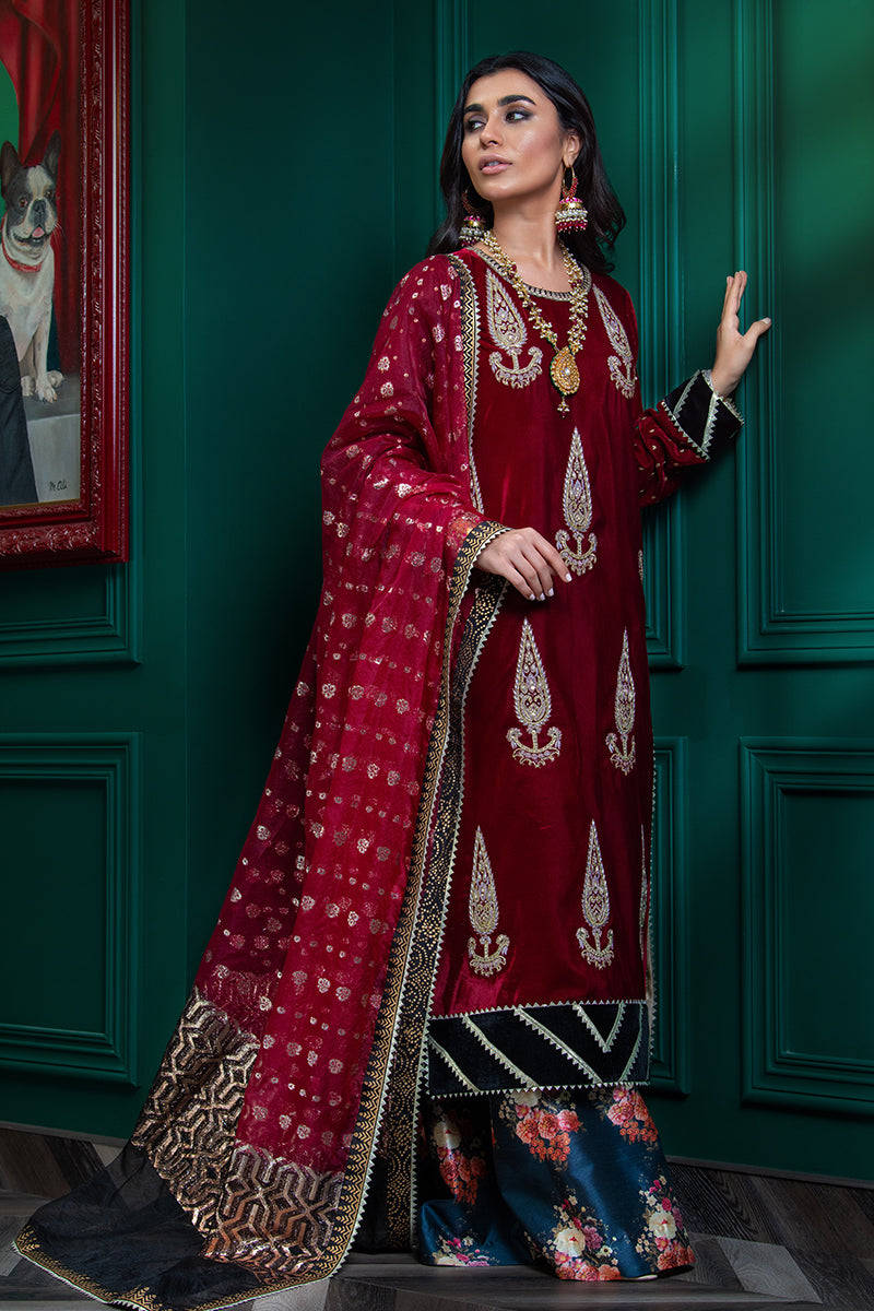 Wardha Saleem | Velvets Winter Fall 24 | Lal Bagh 2 - Official Wardha Saleem - Agha Fabrics UK