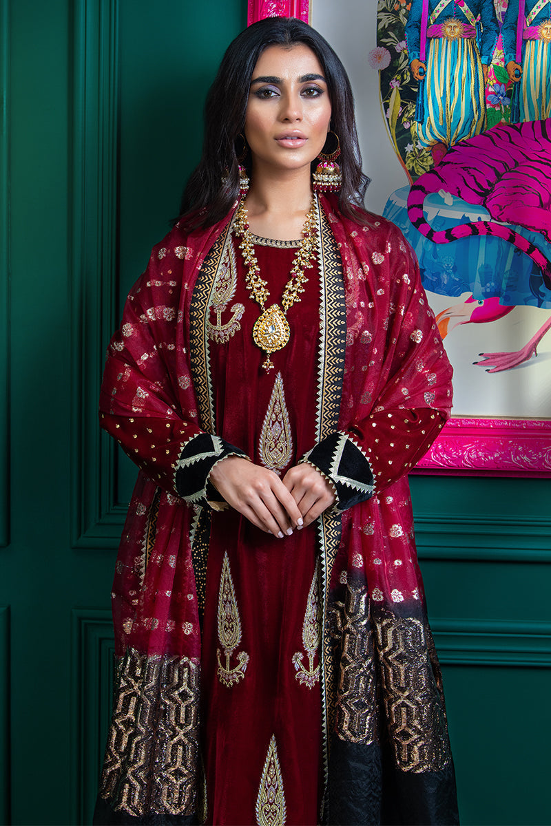 Wardha Saleem | Velvets Winter Fall 24 | Lal Bagh 2 - Official Wardha Saleem - Agha Fabrics UK