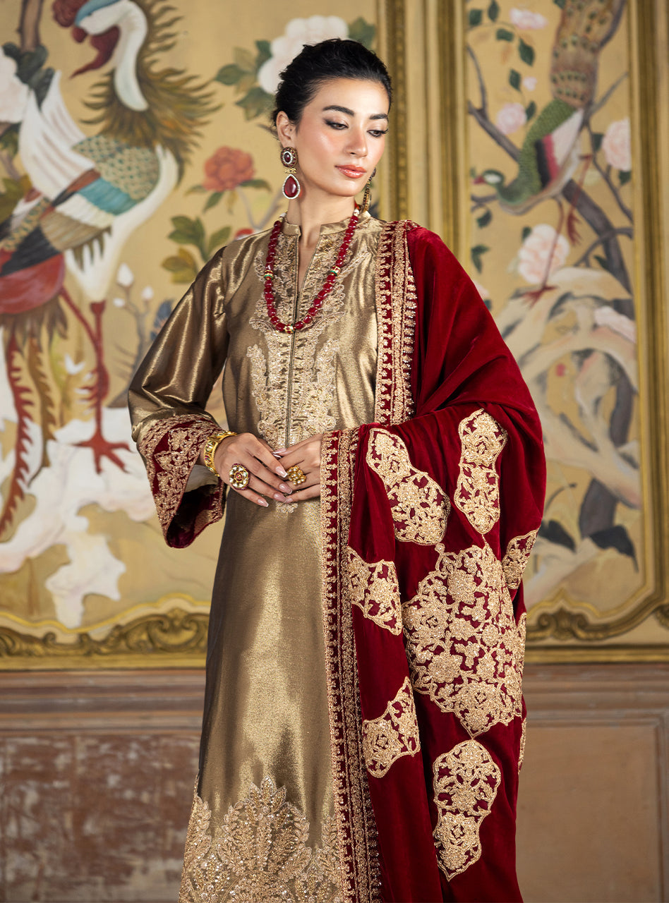 Zainab Chottani | Velvet Formals 24 | Zerlin