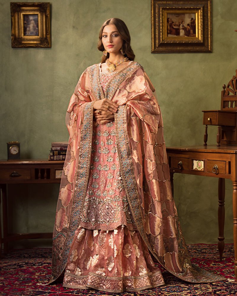 Ain | Aroosh Luxury Formals 24 | AR-96 ARZU (Pink) - Official Ain - Agha Fabrics UK