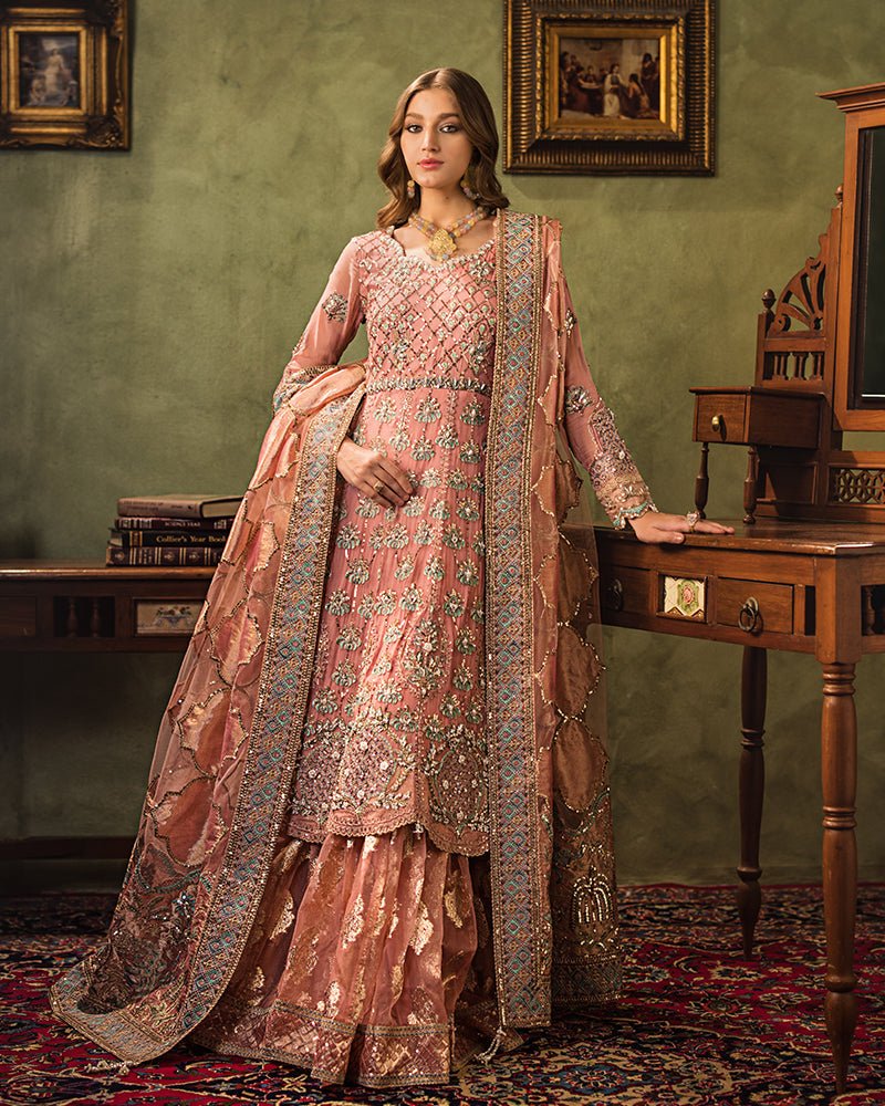 Ain | Aroosh Luxury Formals 24 | AR-96 ARZU (Pink) - Official Ain - Agha Fabrics UK