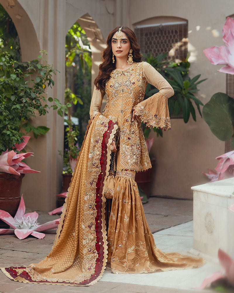 Ain | Naulakha Wedding Festive 24 | AR-143 KESAR