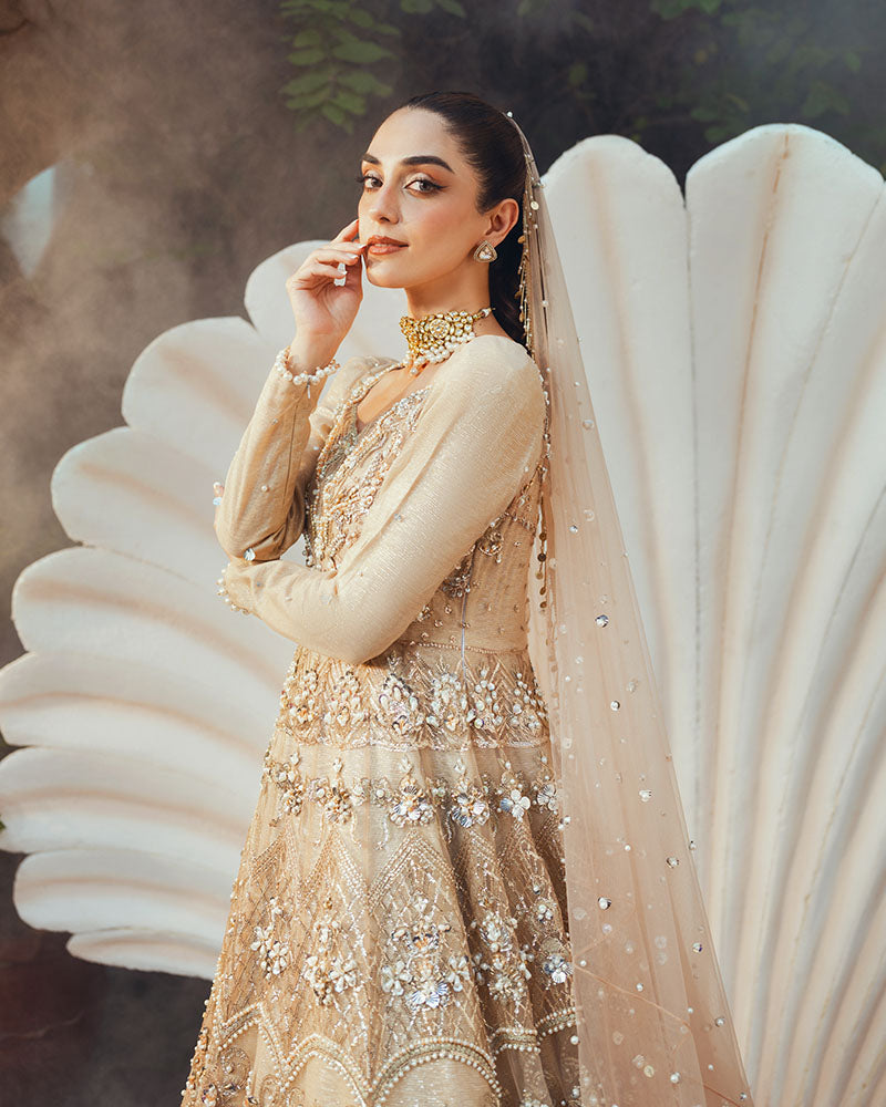 Ain | Naulakha Wedding Festive 24 | AR-144 SHELL