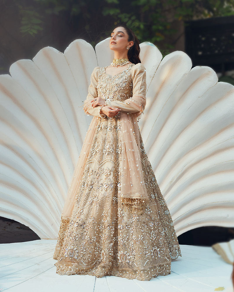 Ain | Naulakha Wedding Festive 24 | AR-144 SHELL