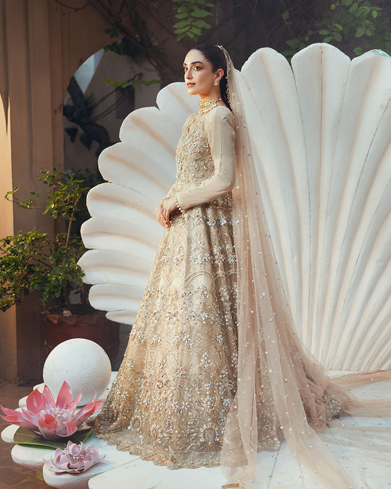 Ain | Naulakha Wedding Festive 24 | AR-144 SHELL