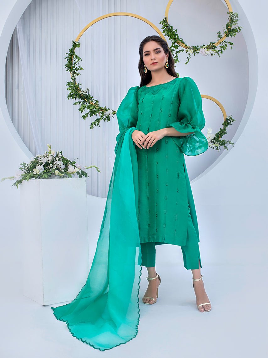 Anam Akhlaq | Festive Collection | D-05 - Official Anam Akhlaq - Agha Fabrics UK