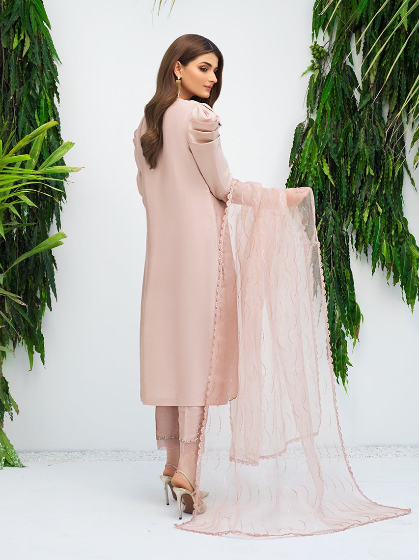 Anam Akhlaq | Festive Collection | D-09 - Official Anam Akhlaq - Agha Fabrics UK