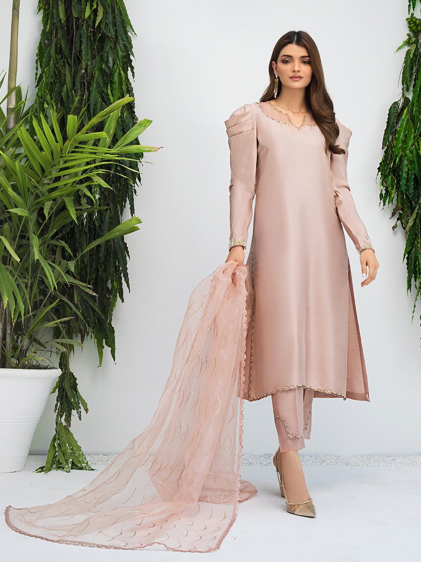 Anam Akhlaq | Festive Collection | D-09 - Official Anam Akhlaq - Agha Fabrics UK