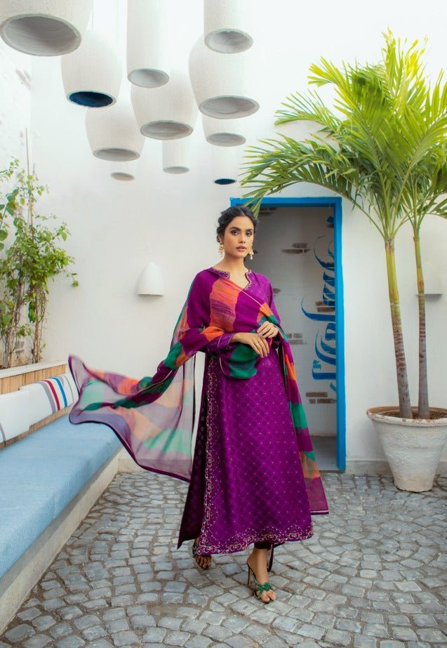 Anam Akhlaq | Festive Collection | D-14 - Official Anam Akhlaq - Agha Fabrics UK