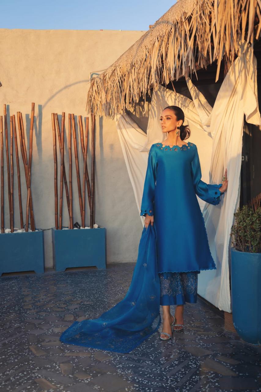 Anam Akhlaq | Festive Collection | D-50 - Official Anam Akhlaq - Agha Fabrics UK