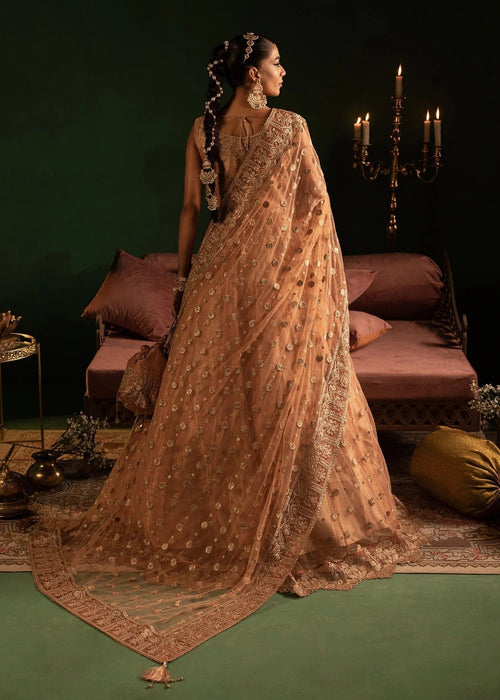 Diara Couture | Onora Wedding Festive | AYLA - WC-2-06 - Official Diara Couture - Agha Fabrics UK