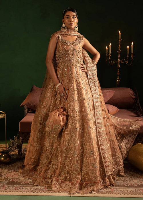 Diara Couture | Onora Wedding Festive | AYLA - WC-2-06 - Official Diara Couture - Agha Fabrics UK