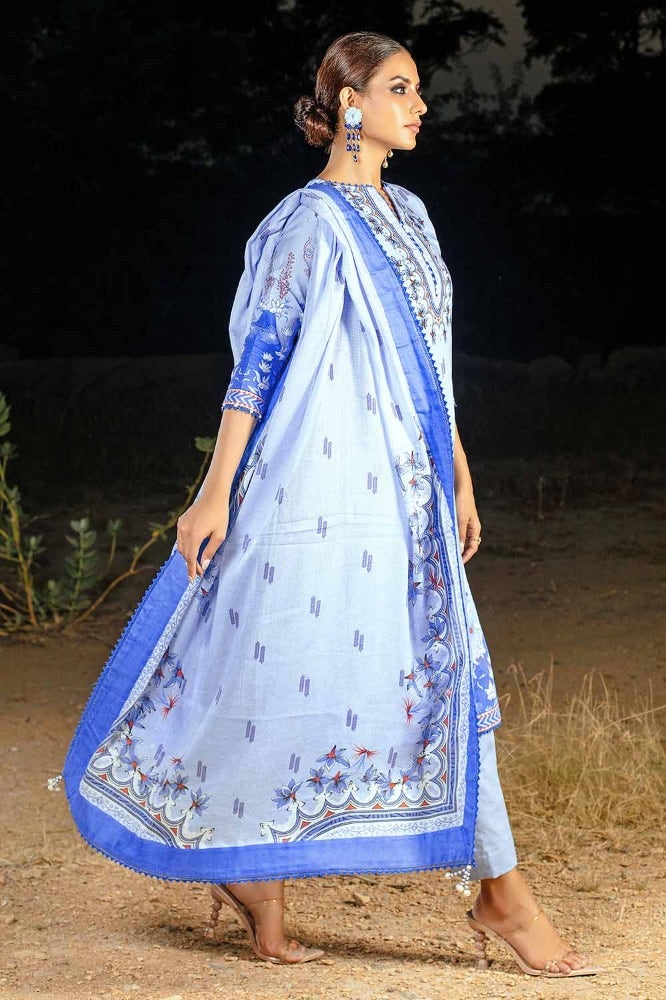 Gul Ahmed | Winter Collection 24 | Cotton Net Dupatta CD-32004 B - Official Gul Ahmed - Agha Fabrics UK