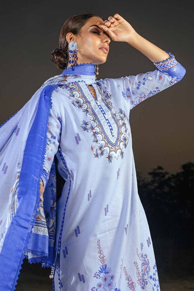 Gul Ahmed | Winter Collection 24 | Cotton Net Dupatta CD-32004 B - Official Gul Ahmed - Agha Fabrics UK