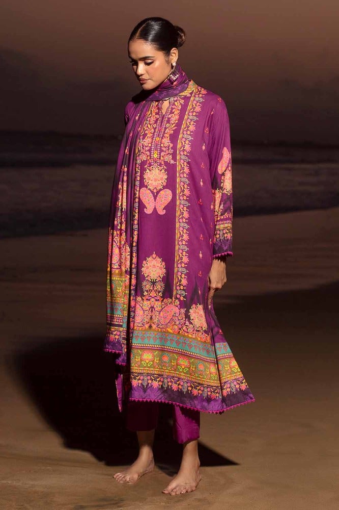 Gul Ahmed | Winter Collection 24 | Suit CV-32006 - Official Gul Ahmed - Agha Fabrics UK