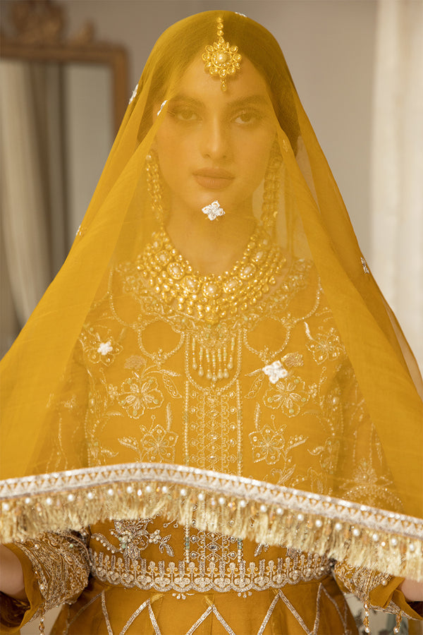 House of Nawab | Luxury Formals | HAZWA B - Official House of Nawab - Agha Fabrics UK