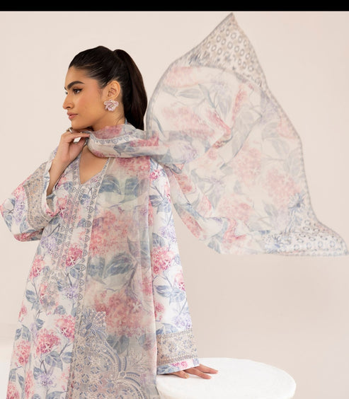 Mohagni | Tulips 24 | PLS-107