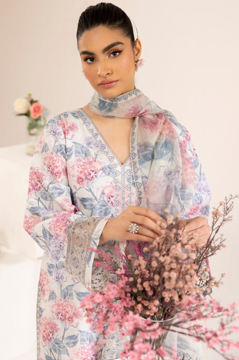 Mohagni | Tulips 24 | PLS-107