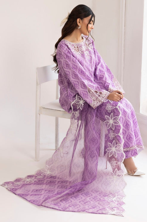 Mohagni | Tulips 24 | PLS-109