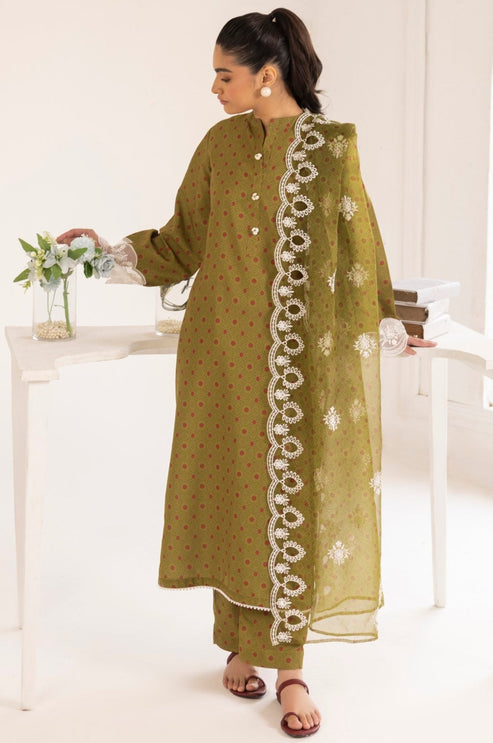 Mohagni | Tulips 24 | PLS-119