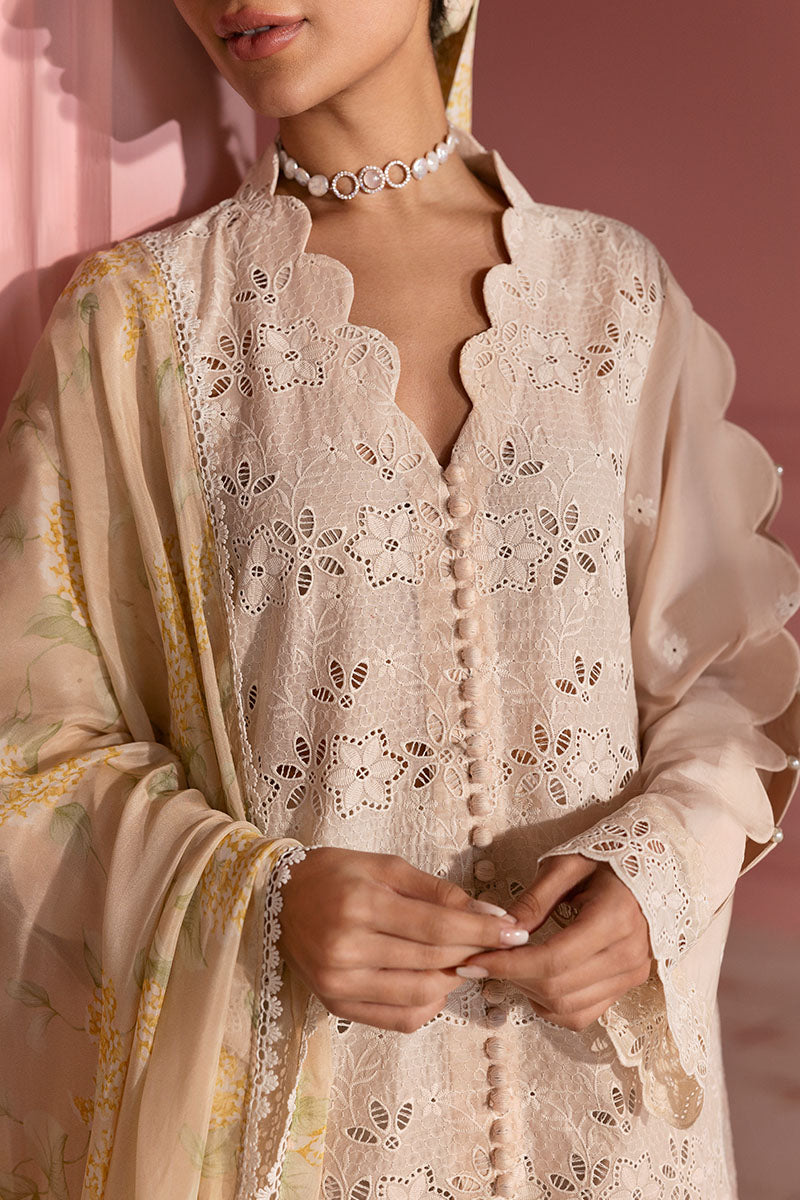 Cross Stitch | Premium Lawn 25 | PEACH PARFAIT - Official Cross Stitch - Agha Fabrics UK