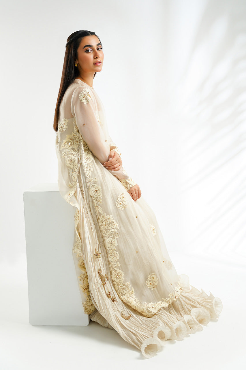 Sania Maskatiya | Reyna Occasion Wear | Beryl